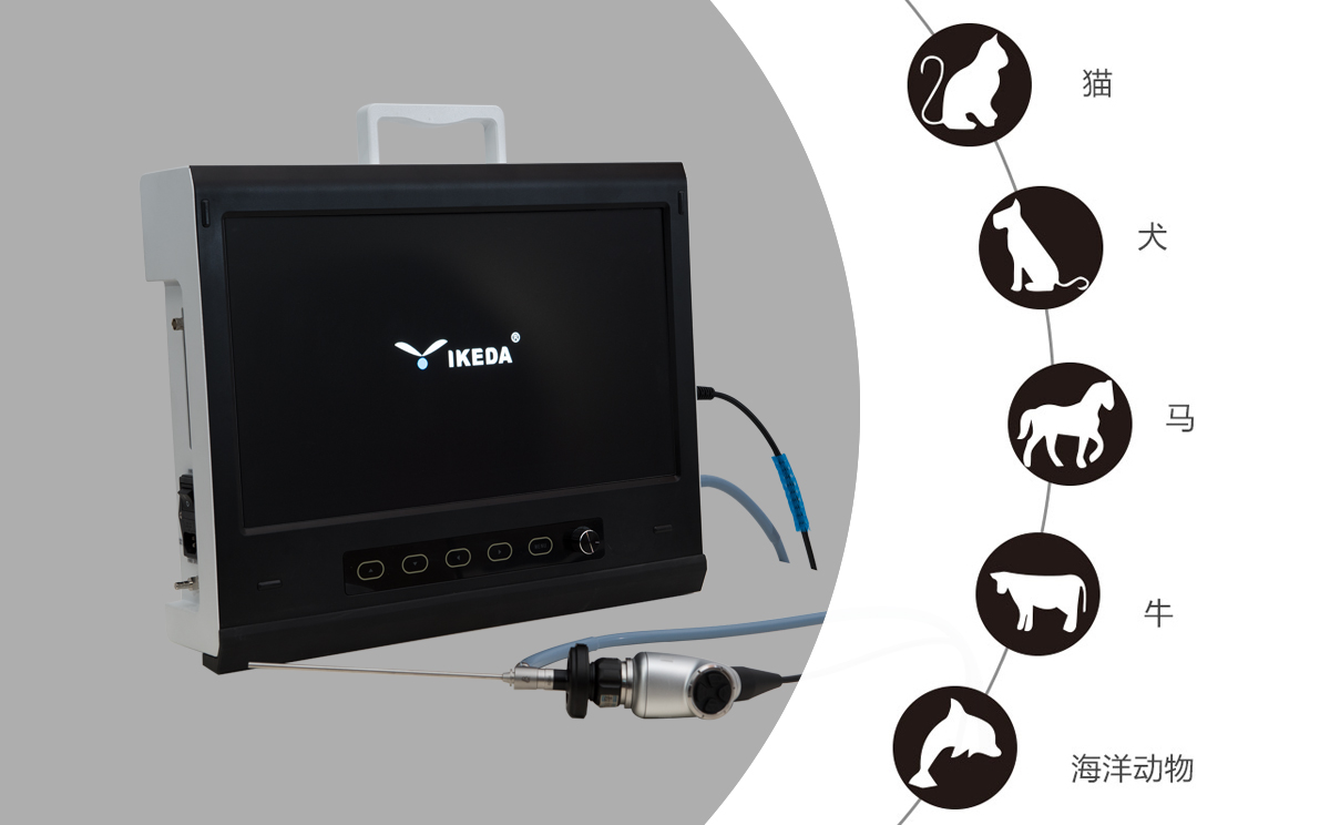 獸用內(nèi)窺鏡可以做什么? 獸用內(nèi)窺鏡可以做什么?