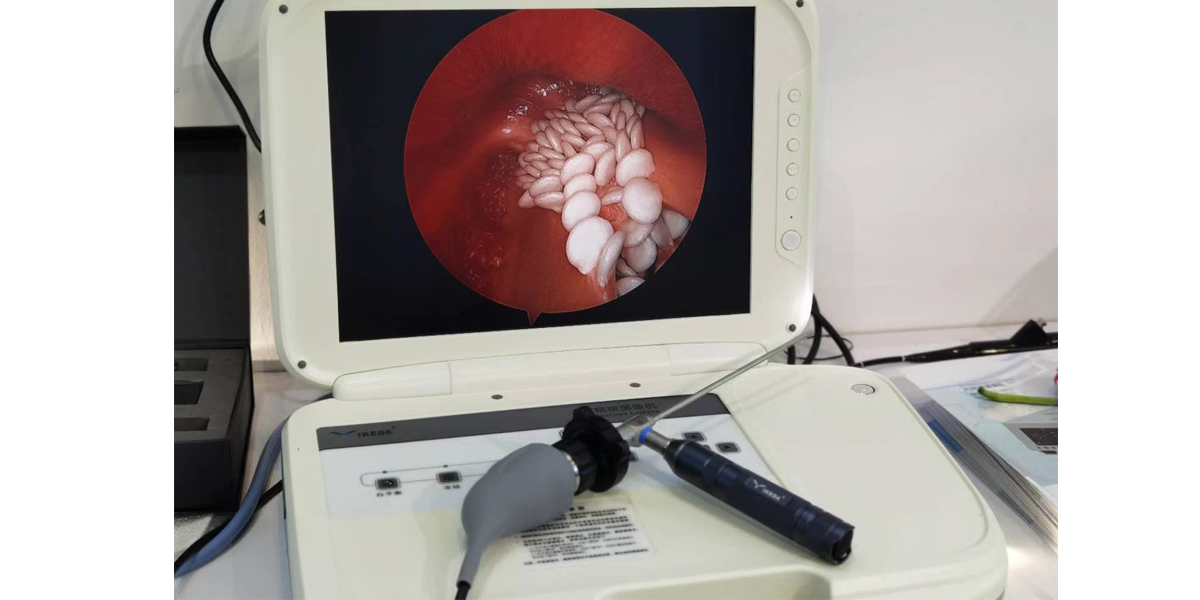 便攜式內窺鏡冷光源 便攜式內窺鏡冷光源