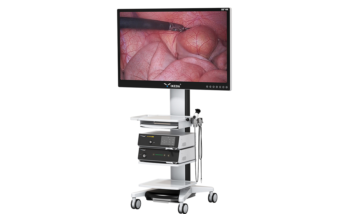 內窺鏡監(jiān)視器 內窺鏡監(jiān)視器