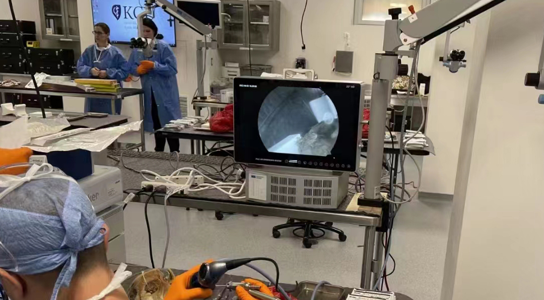 獸用關(guān)節(jié)鏡的基本配置有哪些？