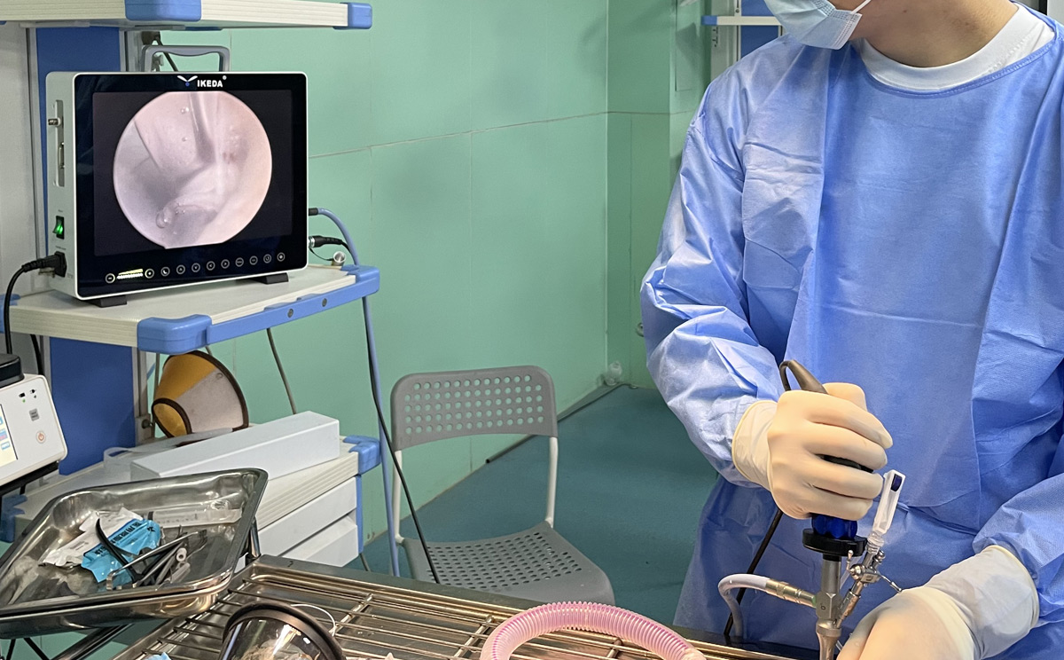 獸用腹腔內(nèi)窺鏡 獸用腹腔內(nèi)窺鏡