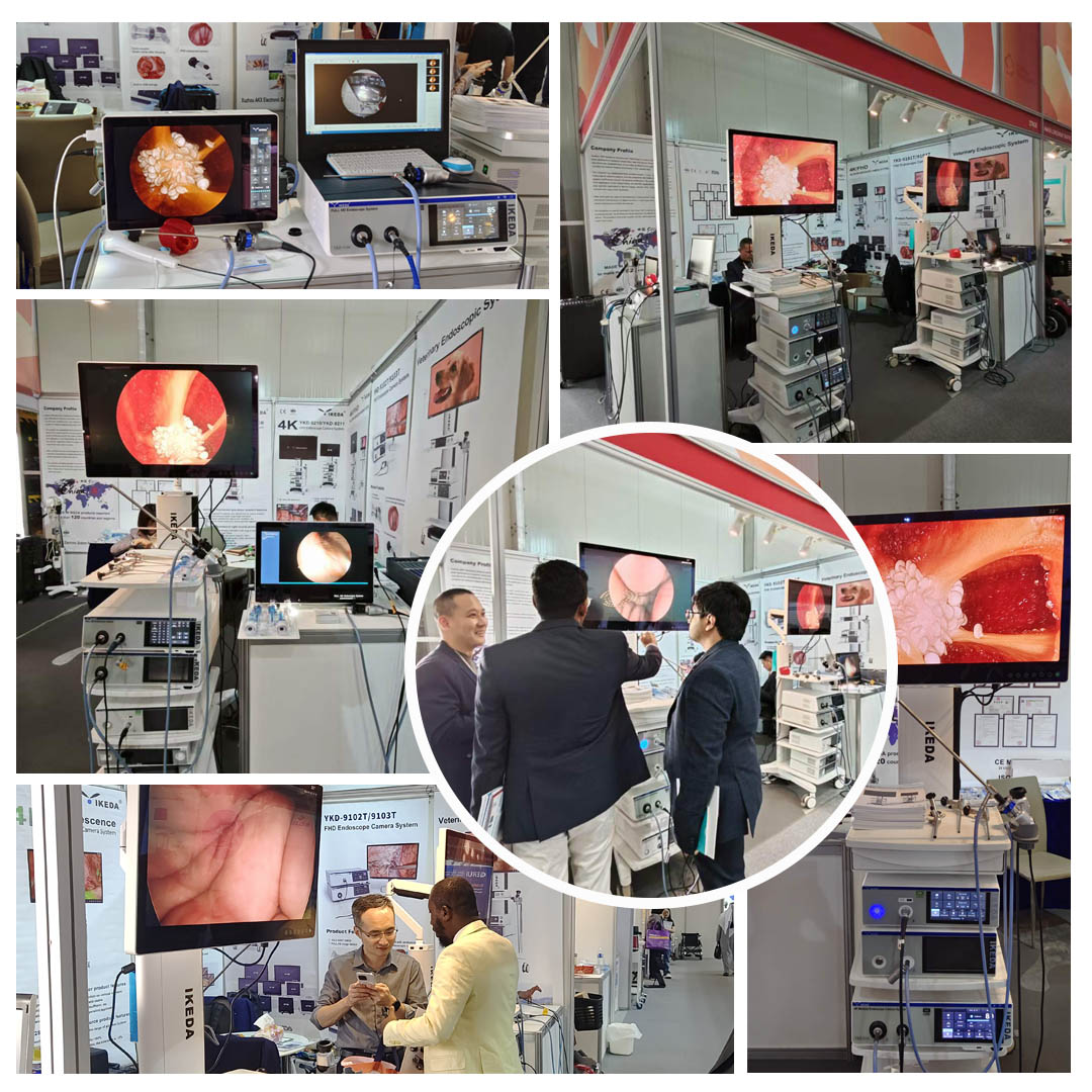 益柯達亮相Arab Health, 開啟2024首秀! 益柯達亮相Arab Health, 開啟2024首秀!