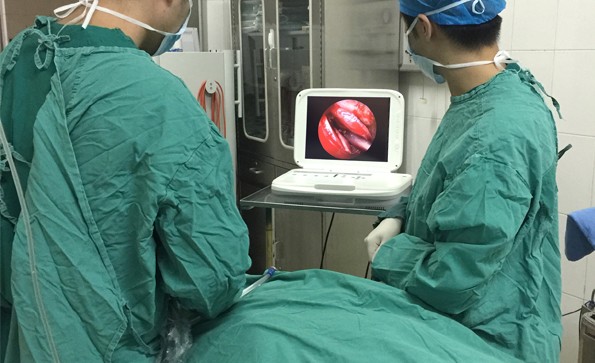 便攜式耳鼻喉內窺鏡系統