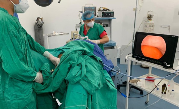 動物怎么做鼻內窺鏡檢查？